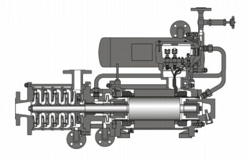 Einzelnes Stadiums-Pumpe und multi Stadiums-Pumpe eingemachte Art Aufzug der Pumpen-400m
